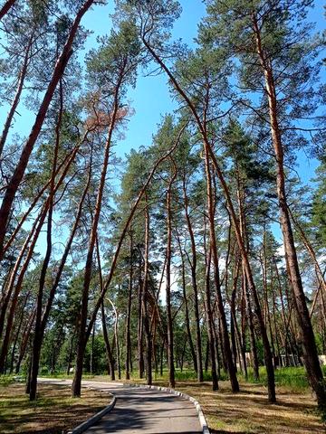 Дом в Орловщине , лес , река