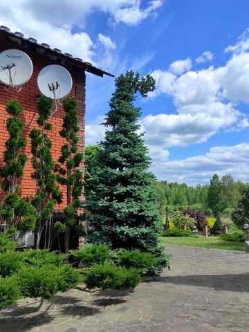 Продам чудовий будинок з мальовничим  краєвидом, поряд з лісом та річкою!