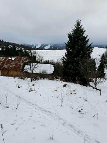Хата в карпатах з ділянкою біля "Плай"