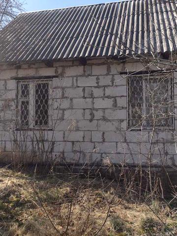 Дача біля села Мотовилівська Слобідка, 60 км від Києва.