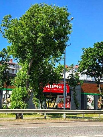 Квартира, яка закриє всі твої забаганки: 3 кімнати в Хлібодарському з двома шаленими бонусами... ЖК Ж К Нова  Одеса