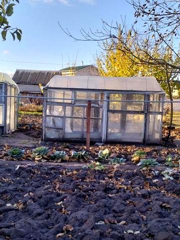 ділянка в дачному кооперативі "Сонячний", с. Маламівка
