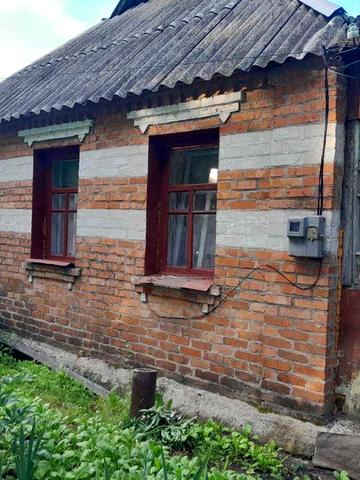 Дом кирпичный с участком сараем и огородом