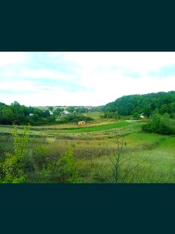 село Туники (два подвіря)Київська область Богуславський р-н