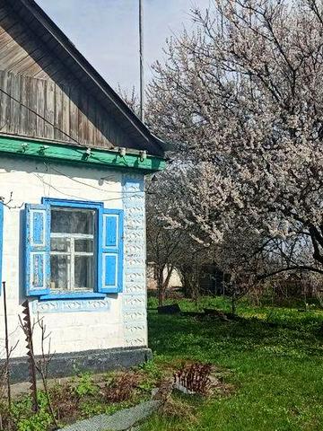 Термінова продажа будинку з господарськими прибудовами та садом с. Вознесенське на вул. Шевченка