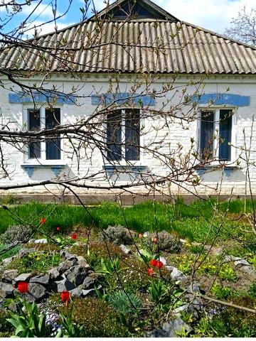 Продам будинок в смт Капітанівка Кіровоградської області.