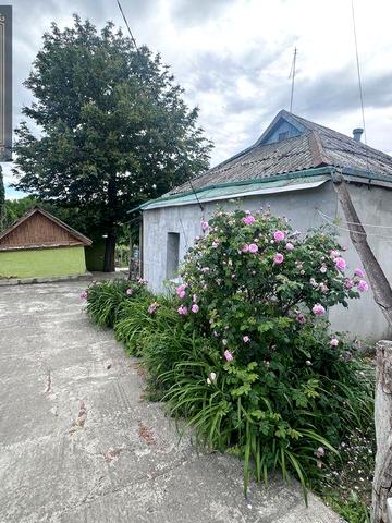 Будинок Високі Байраки