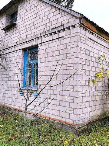 Жилий будинок та 29сот.В с.Бишів.Розвинена інфраструктура.Київ 40км.