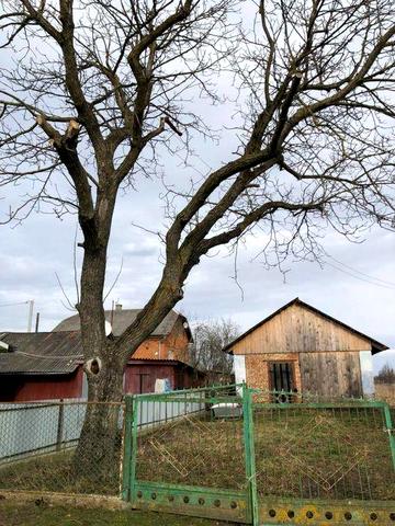 Продам або здам в оренду будинок