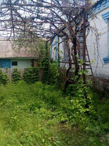 Продам будинок в с. Єрки (2 ходи)