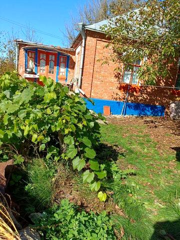 Продається цегляний будинок з ділянкою 25 соток у с. Будеї