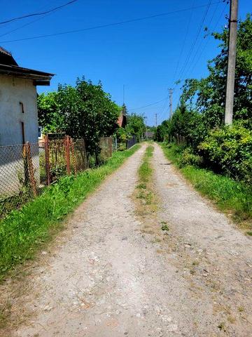 Будинок з садом і господарськими будівлями