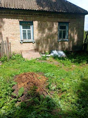 Продаж будинку в селі Рудьківка