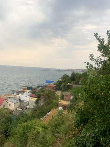 Береговая