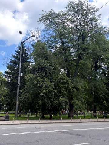 Продаж квартири вул. Михайла Грушевського 28/2, Маріїнський парк