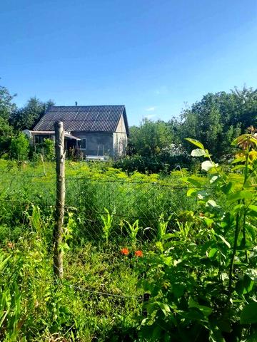 Дача/будинок/земля - 10 соток + 2 дод. діл. горіхова, і звичайна