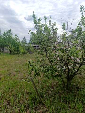 Дачна ділянка з будиночком, електрика, криниця, свердловина, ліс, озеро