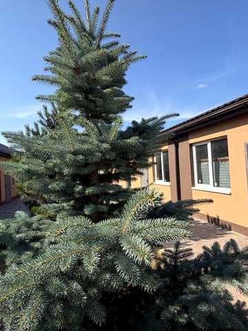 Продам Смарт квартиру Гнатівка 20 квадратів 4.5 метрів потолок , модна два рівні. 6 квт світла Парковка власна Без комісії