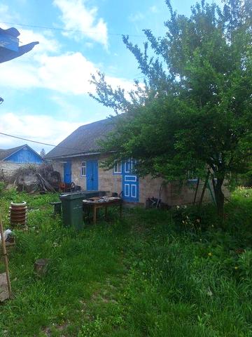 Будинок у центрі Лохвиці | 19 соток | Усі комунікації