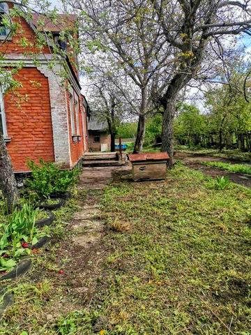 Продається  будинок (хата, дом) тихому місці, 167 км від Києва. Ідеальний варіант для тих, хто втомився від міського шуму та шукає спокій.