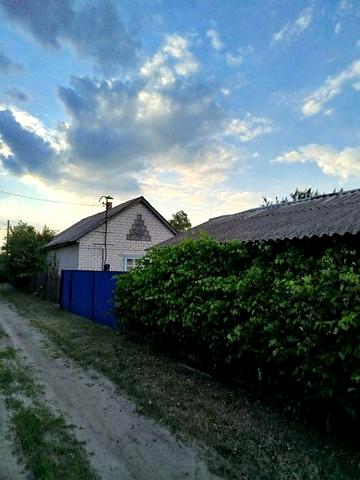 Продаж житлового будинку з господарськими будівлями на земельній ділянці з молодим садком