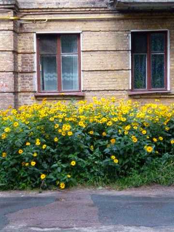 3-х ком.кв. 76кв.м.,Сталинка,пр.Мира 1/3 кирп.+подвал(бомбоубежище),под бизнес
