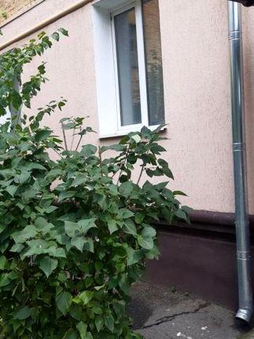 Продам 2-х кімнатну квартиру на площі