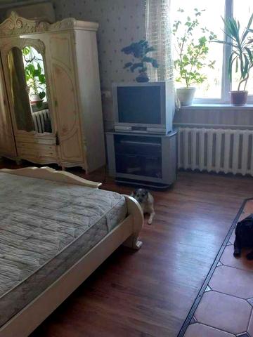 Сдам часть дома в ПГТ Обуховка