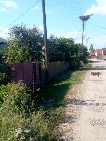 Продам будинок, Борзна, по вул. Покровській, буд. 57
