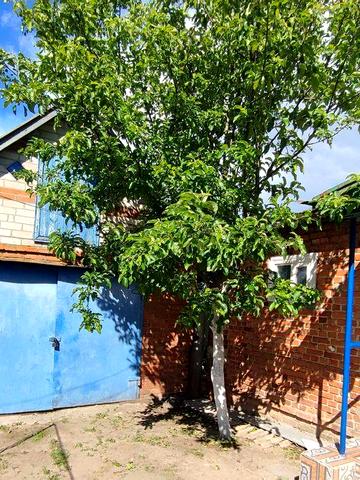Продається житловий будинок в смт.Краснокутськ