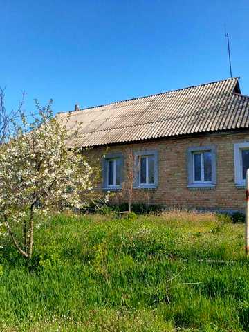 Продаж частини будинку ділянка 25 соток  с. Дружня вул. Центральна