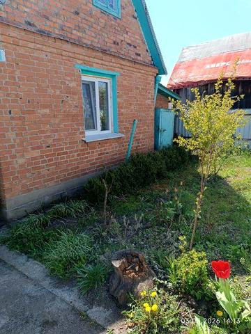 Продам дачу в Новогуйвинську