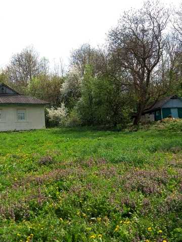 Будинок 67 м² під ремонт на березі ставка, с.