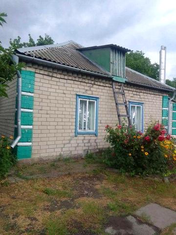 Продам будинок в гарному селі Петриківка