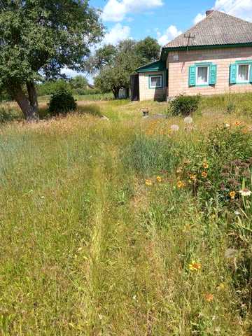 Продам будинок в селі Іркліїв