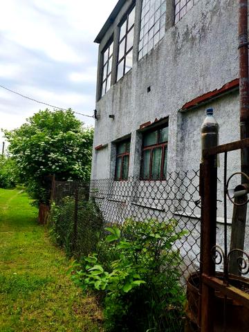 Зелена, 34