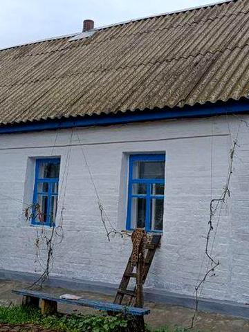 Будинок в мальовничому селі