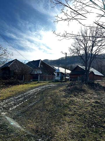 Продам будинок в Карпатах плюс гектар землі