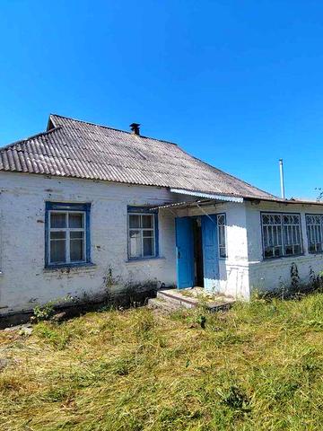 Продаж будинку с. Шамраївка, Білоцерківський район