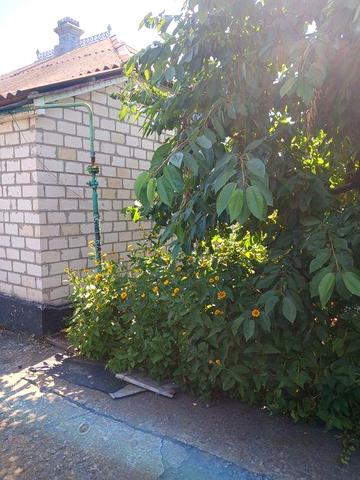 Продам будинок. Село Лиман Чугуївський район, Харківська область