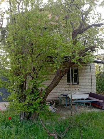 Продам дачный участок с.Валове