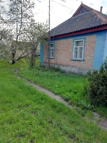 Продам будинок с. Богданівка