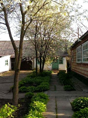 Продаж будинку село Дибинці, Київська область