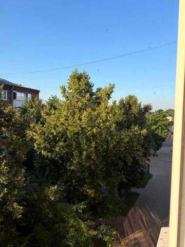 Продам однокімнатну квартиру в самому центрі міста