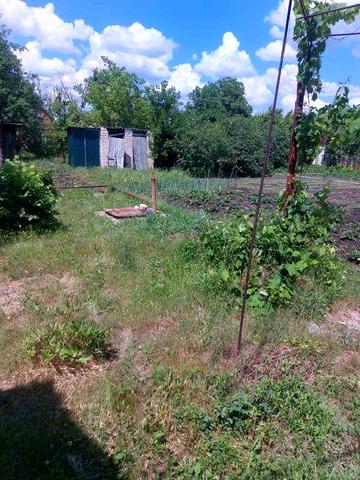 Продам дачу в г. Павлоград