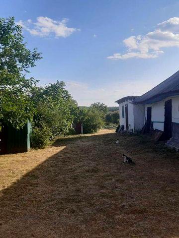 Продається будинок с. Бирлівка (Гайсинський р-н)