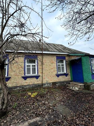 Продам будинок в центрі села Стави