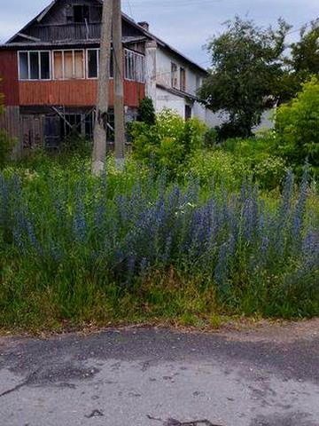 Квартира під ваш ремонт.