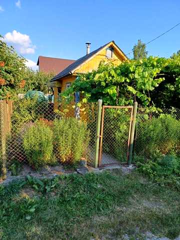 Продам дачу в Давыдовском массиве