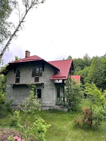 Продаж двох котеджів (або один) недалеко від Шацьку